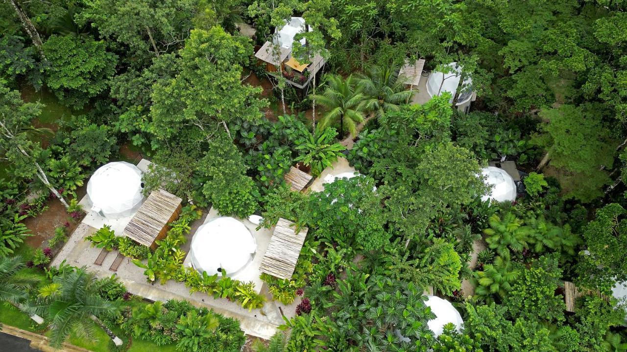 Palo Alto Glamping Hotel Quesada  Ngoại thất bức ảnh