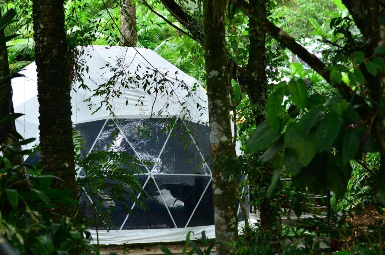 Palo Alto Glamping Hotel Quesada  Ngoại thất bức ảnh