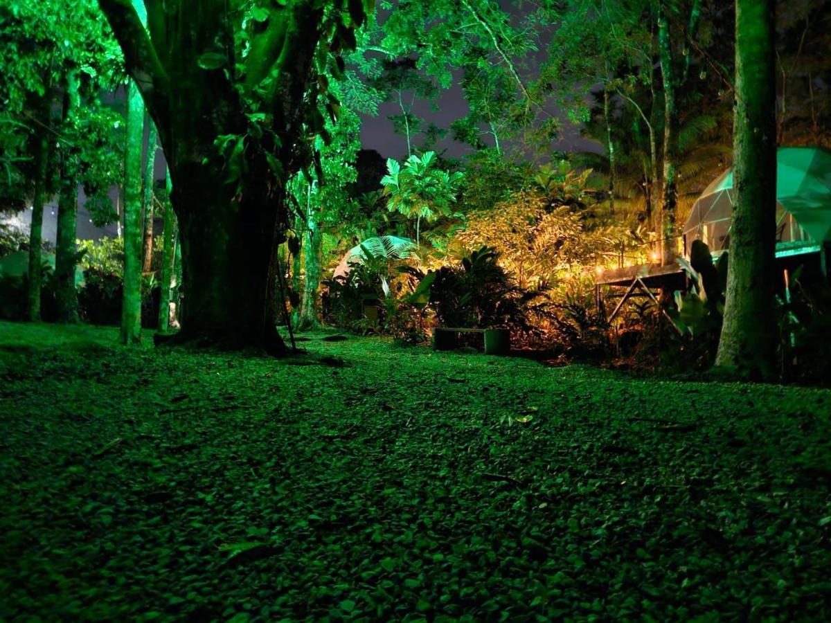 Palo Alto Glamping Hotel Quesada  Ngoại thất bức ảnh