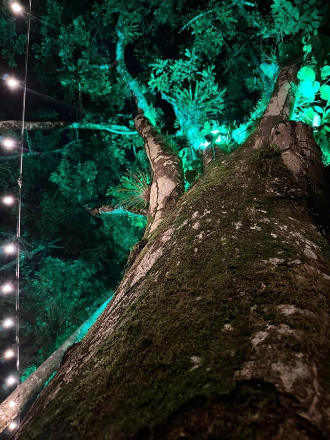 Palo Alto Glamping Hotel Quesada  Ngoại thất bức ảnh
