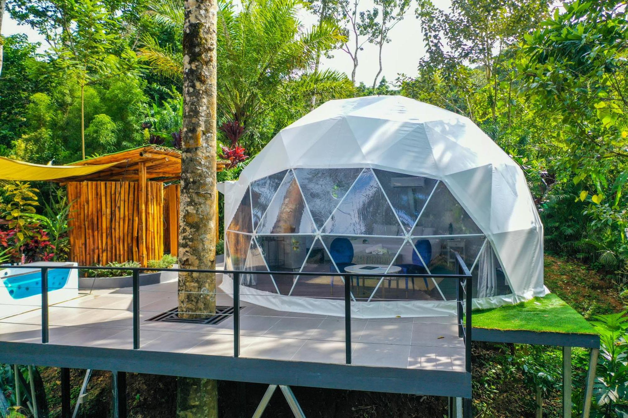 Palo Alto Glamping Hotel Quesada  Ngoại thất bức ảnh
