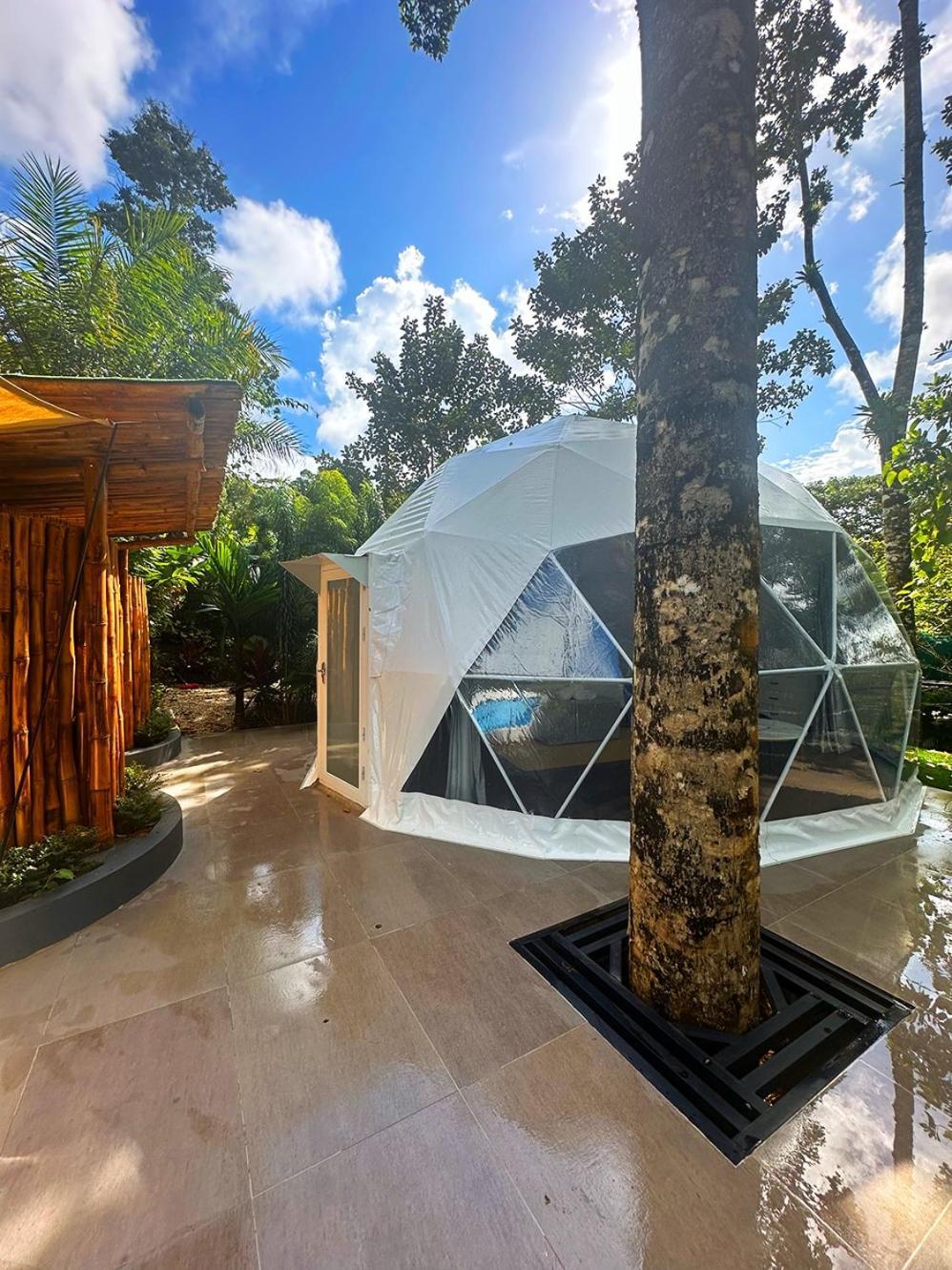 Palo Alto Glamping Hotel Quesada  Phòng bức ảnh