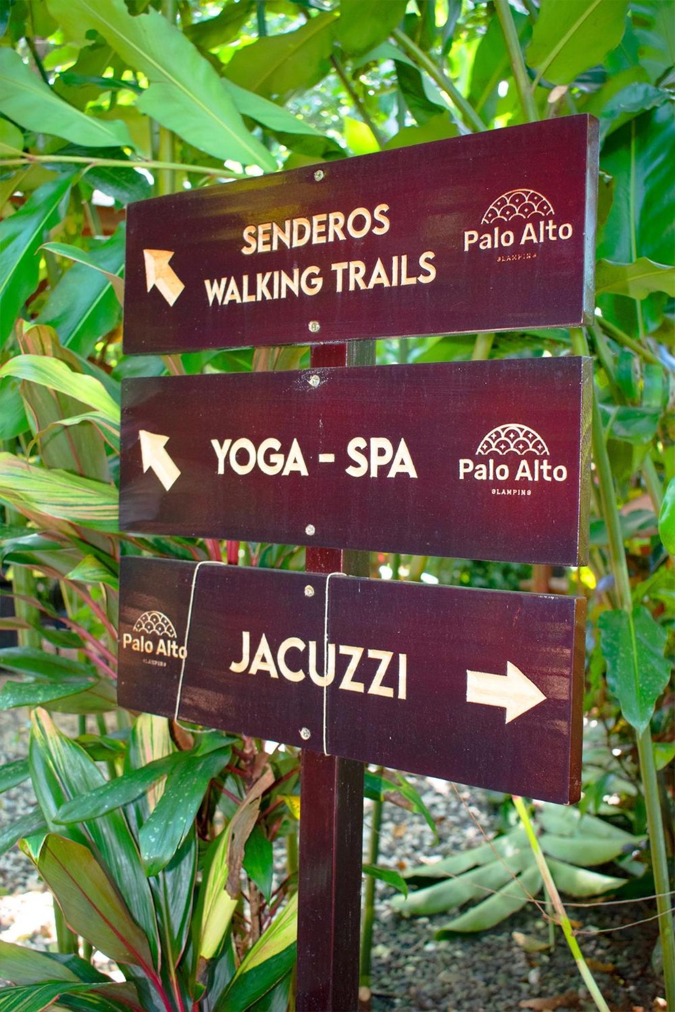 Palo Alto Glamping Hotel Quesada  Ngoại thất bức ảnh